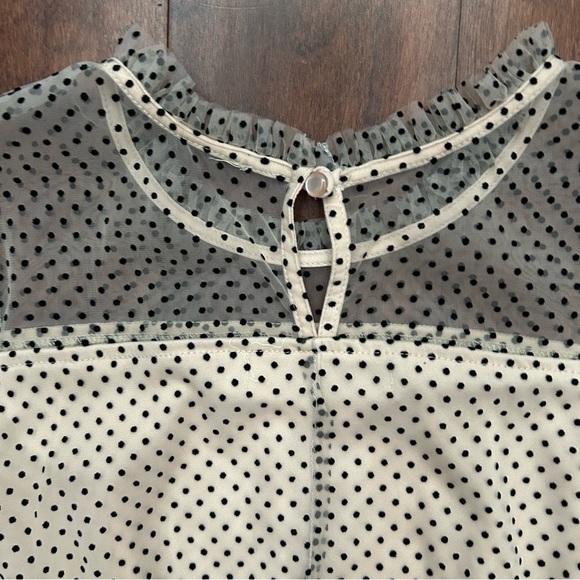 Poppies and Roses Velvet Polka Dot on Beige Netting Kids Dress, Size Large - Picture 11 of 14